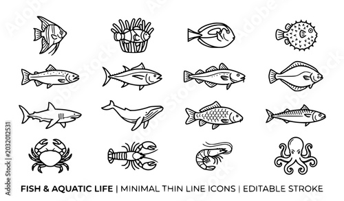 Photography Fish icon set aquatic sea animals vector illustration isolated on white