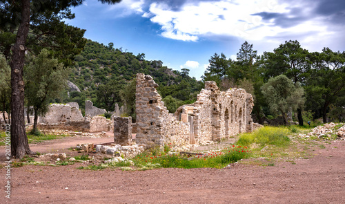 Billede på lærred Olympos is an ancient Lycian harbor city set in a lush river valley in Antalya, Turkey