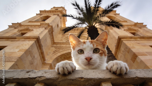Funny Ginger Cat Peering Over Stone Balcony with Historic Architecture Background