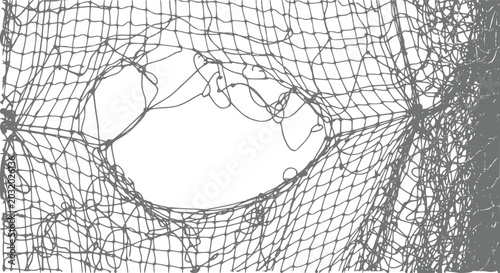 Quadro su tela A close-up view of a torn and tangled grey fishing net isolated against a plain