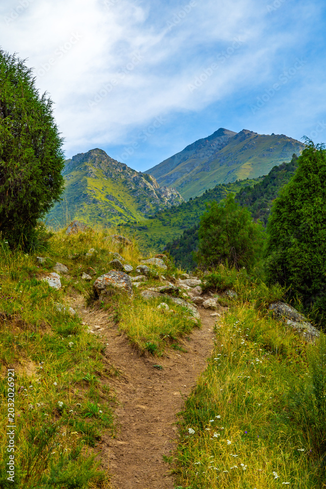 Fototapeta premium Mountain Trail Path Through Lush Green Landscape in Kyrgyzstan