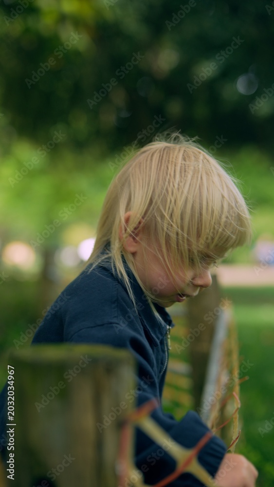 Fototapeta premium Young child looks over wooden barrier with concentration