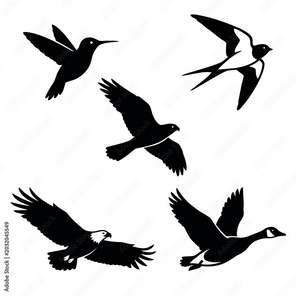 Obraz premium Flying Birds Silhouette Set – Eagle, Hummingbird, Swallow, Goose Vector Collection