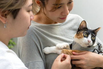 Portrait Asian LGBT lesbian couples spending time together with adorable cat in apartment, pride month concept