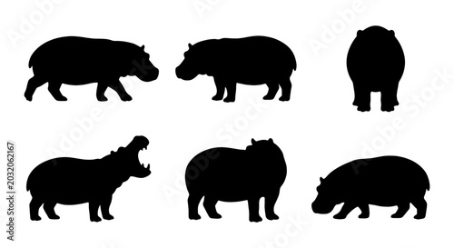 Bild auf Leinwand Hippopotamus Silhouettes: African Wildlife Vector Icons, Animal Poses, Black & W
