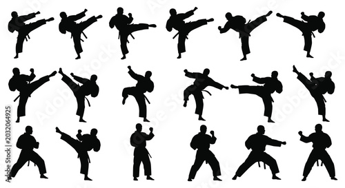 Billede på lærred Martial arts silhouettes depicting various kicking and fighting poses black on w