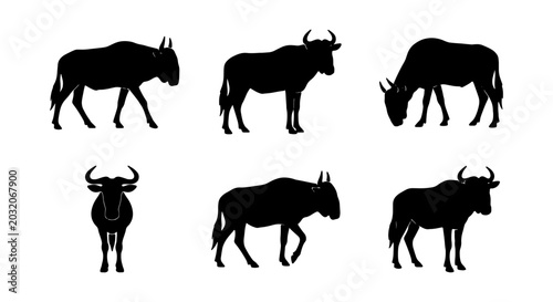 Fotografie Wildebeest Silhouettes: Six Vector Poses, African Wildlife Icons, Safari Animal