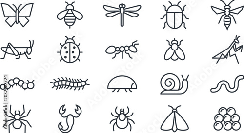 Bild auf Leinwand Assorted insects and bugs in black and white vector illustration with line art,
