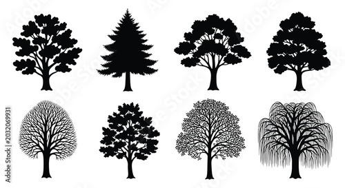 Bild auf Leinwand Collection Of Tree Silhouettes On A White Background