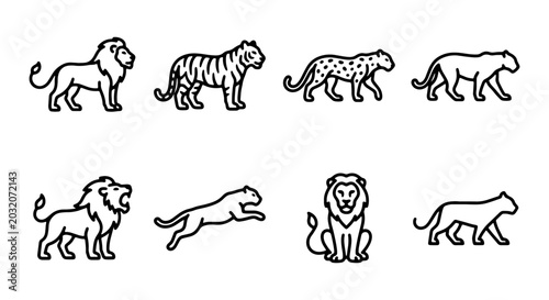 Photography Big Cat Icons Collection: Lion, Tiger, Leopard, Panther Vector Graphics Set