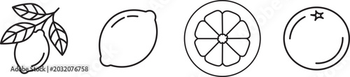 Foto Collection of citrus fruits icons