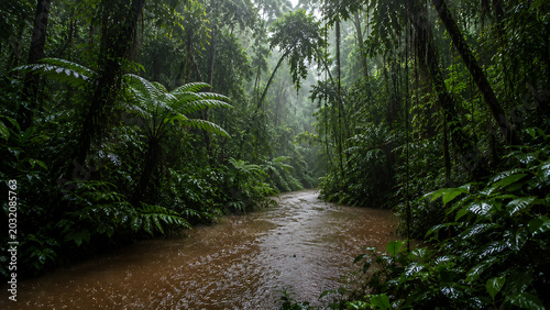 Tropical rainforest river winding through dense jungle during a heavy downpour. 