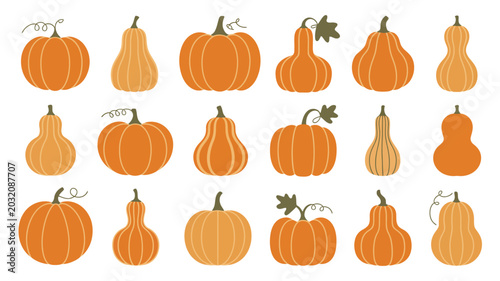 Foto Collection of orange pumpkins and gourds a vector illustration on a white backgr