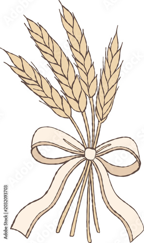 Hand-drawn wheat bundle with ribbon bow in soft neutral tones. Rustic botanical doodle illustration with cozy farmhouse and boho aesthetic. Delicate harvest-inspired 