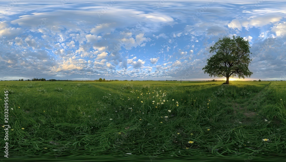 Fototapeta premium complete 360-degree HDRI panorama for VR and AR use, featuring an equidistant projection and 3D rendering.