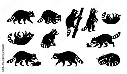 Foto Wild Raccoon Black Silhouette Vector Bundle with Different Animal Action Poses