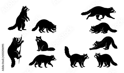 Canvastavla Minimal Black Raccoon Silhouette Collection with Dynamic Wildlife Animal Vector