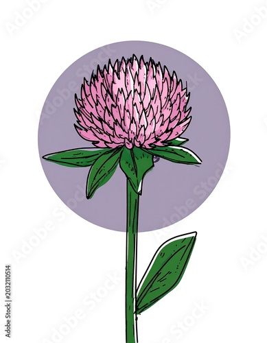 Pink Flower Illustration on Gray Background.