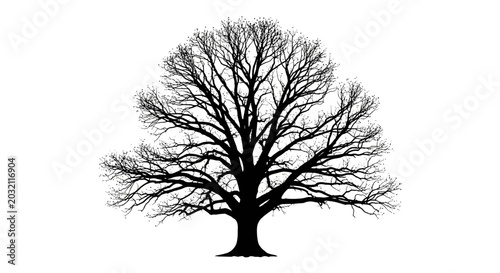 Bild auf Leinwand Bare tree silhouette with sprawling branches on white background symbolizing win