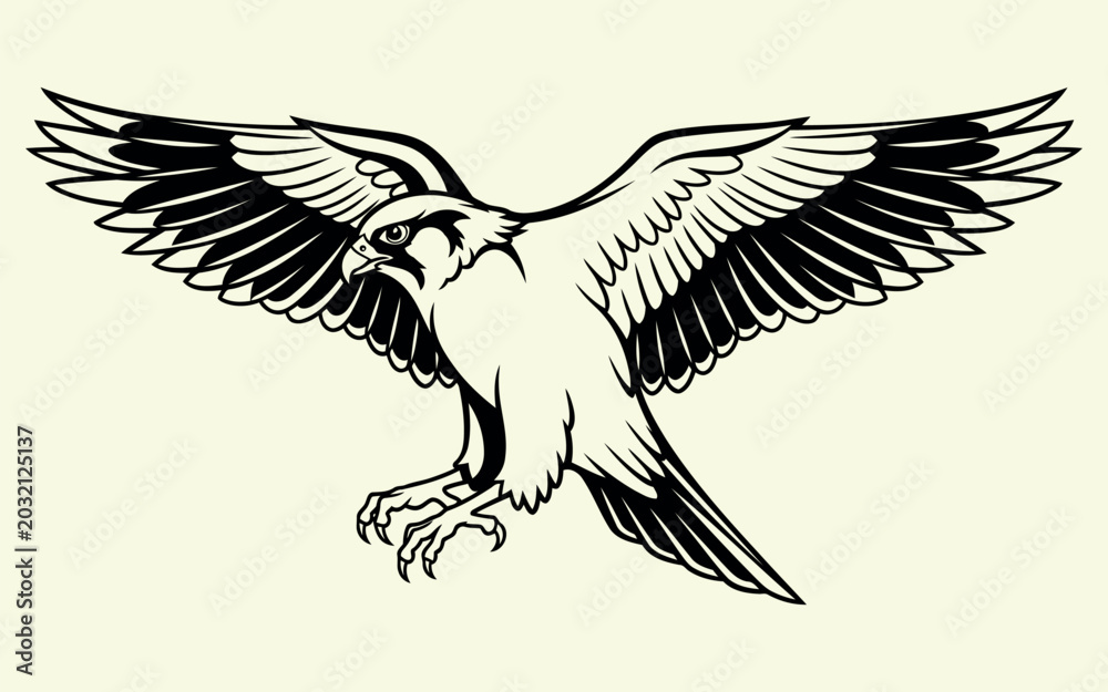 Naklejka premium Black and white eagle bird flying with wings spread out