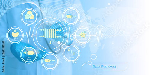 Photos Illustrated diagram showing the GPCR pathway with ligand binding activation and