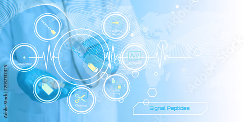Photos Modern scientific illustration showing signal peptides and related biochemical p