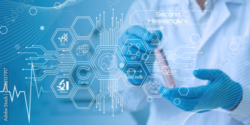 Fotografi Scientist using digital interface illustrating second messengers and biochemical