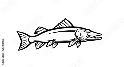 Quadro em tela Illustration of a Barracuda Fish