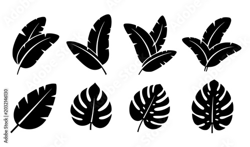 Tropical Leaf Silhouette Collection with Exotic Botanical Foliage and Nature Plant Illustration Set