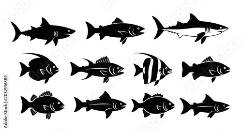 Photography Collection of Diverse Fish Silhouettes, Marine Life Icons