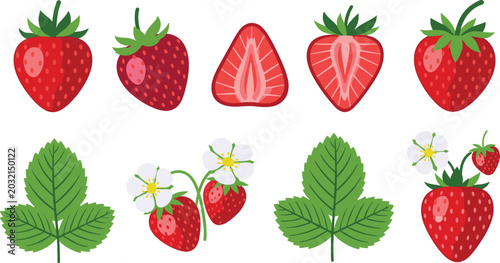 Foto Fresh Strawberry Vector Illustration Set with Whole Berries Halves Slices Green