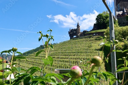 Foto Colorful autumn vineyards surround the beautiful village of Cochem in the Moselle Valley, creating a vibrant and romantic German landscape