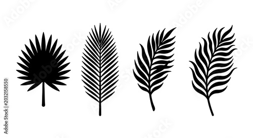Tropical Palm Leaf Silhouettes, Vector Set of Exotic Foliage Icons, Black and White Botanical Elements for Design