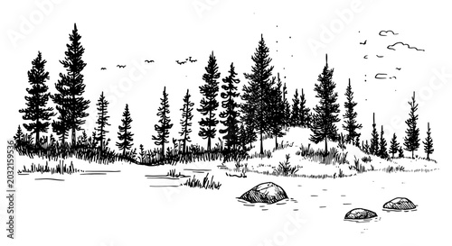 Konstfotografi Coniferous pine forest landscape with rocks and birds in vintage sketch style