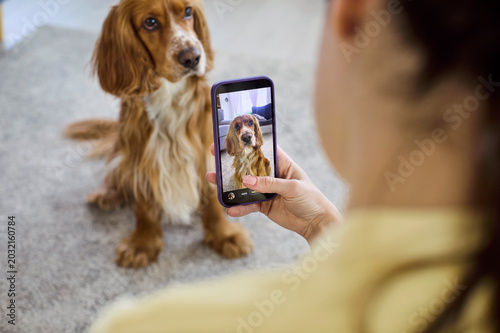 Bild auf Leinwand Woman takes dog photo with smartphone at home