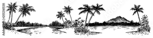Fotografie Tropical river landscape panorama with palm trees and mountain hand drawn vintag