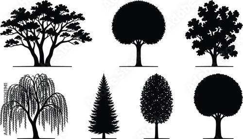 Cuadro en lienzo Set of diverse tree silhouette illustrations including willow, conifer, and broa