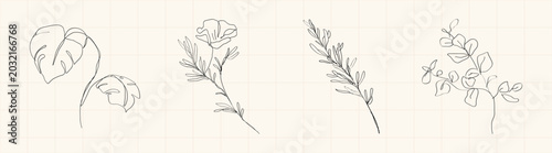 Minimal vector botanical line art with tropical leaves and delicate floral sprigs