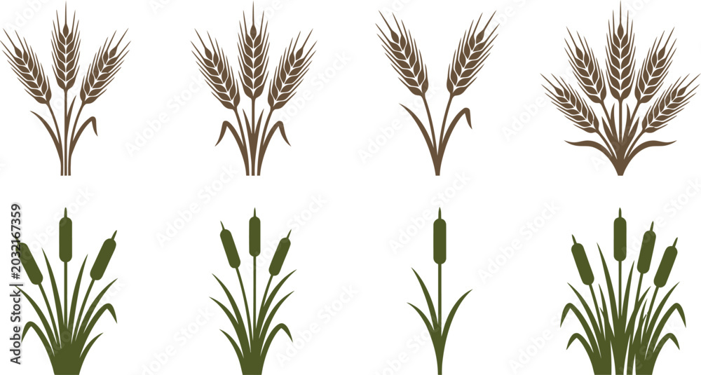 Obraz premium Wheat And Cattail Plant Collection Isolated Botanical Nature Decorative Silhouettes