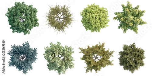 Set of eight different green trees viewed from above for architectural landscape design plans Vector, illustration