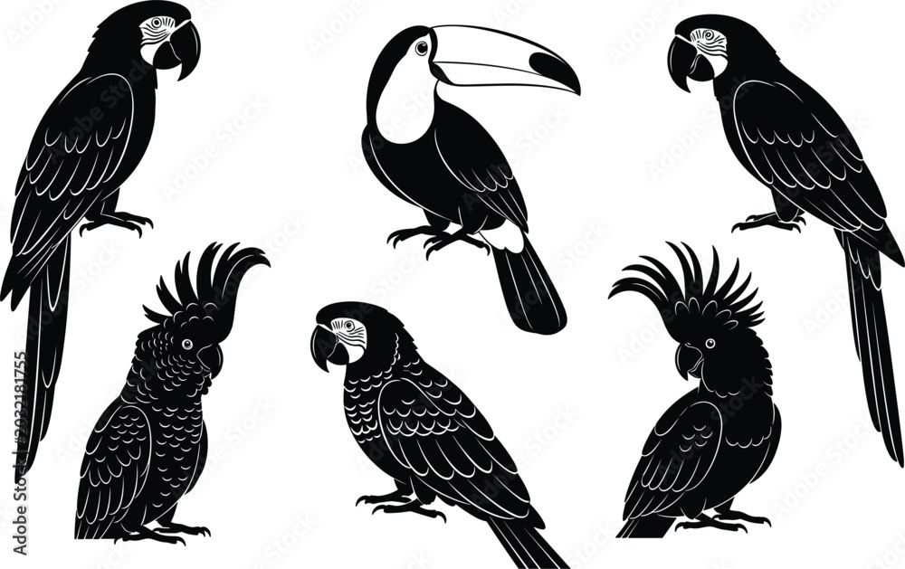 Obraz premium Tropical Bird Silhouette Set with Exotic Macaw Parrot Toucan and Cockatoo Icons for Jungle Wildlife Zoo and Nature Graphic Design Elements Vector Illustration
