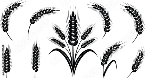 Fotografía Black Wheat Ear Silhouette Set with Curved Grain Stalks and Agriculture Sheaf Bu