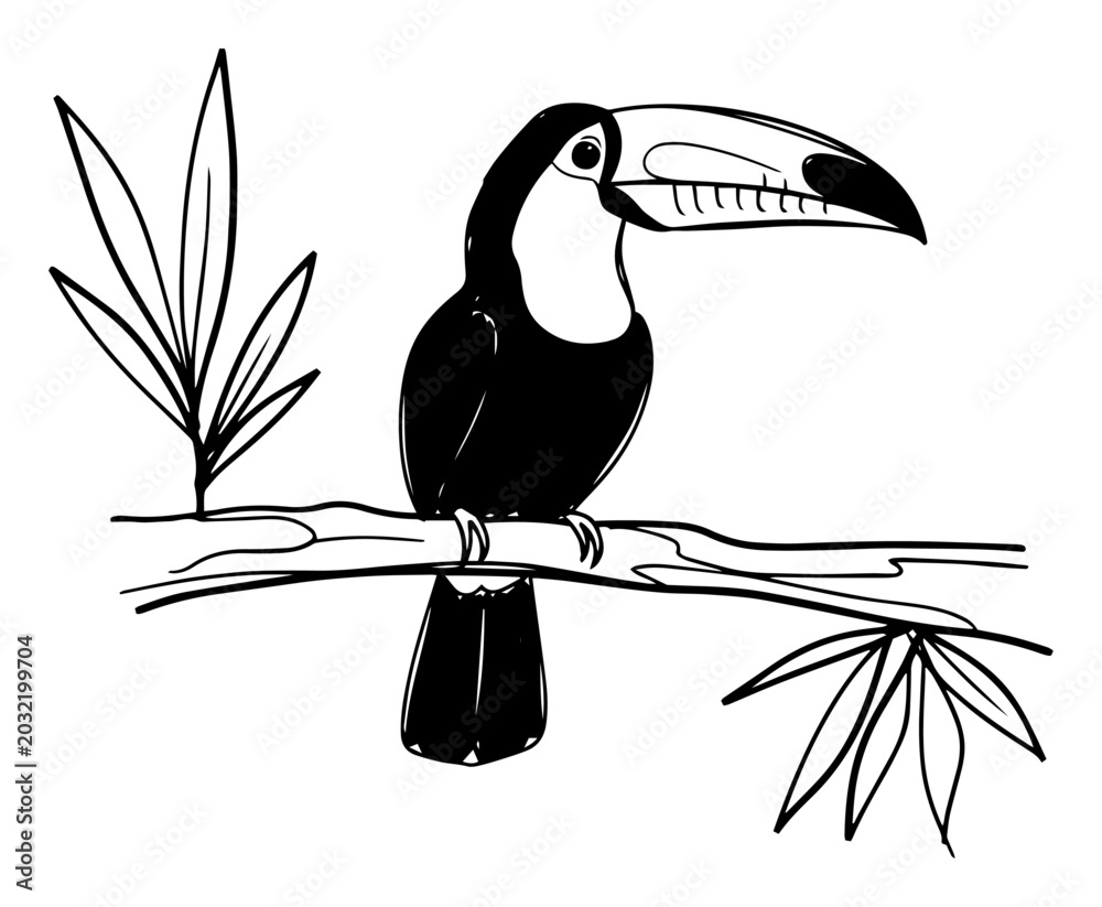 Naklejka premium Toucan bird sitting on a tropical tree branch vector sketch illustration