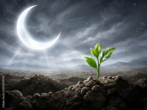 Growth Sprout Emerges from Dark Earth Under Giant Crescent Moon Dramatic Concept for Hope and New Beginnings