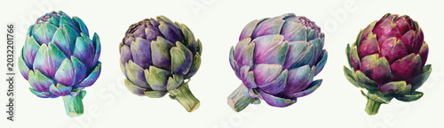 Bild auf Leinwand Design of a artichoke set painting
