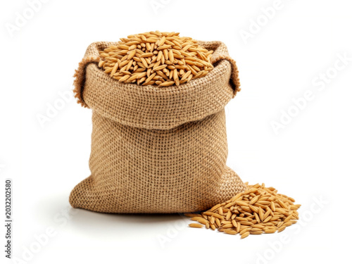 Organic raw paddy rice seed grain harvest in a burlap sack bag isolated on white background