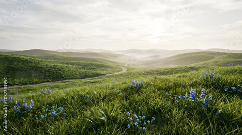 Nature Rolling Hills Landscape with Blue Wildflowers Under Soft Sunrise Sky for Scenic Travel Background