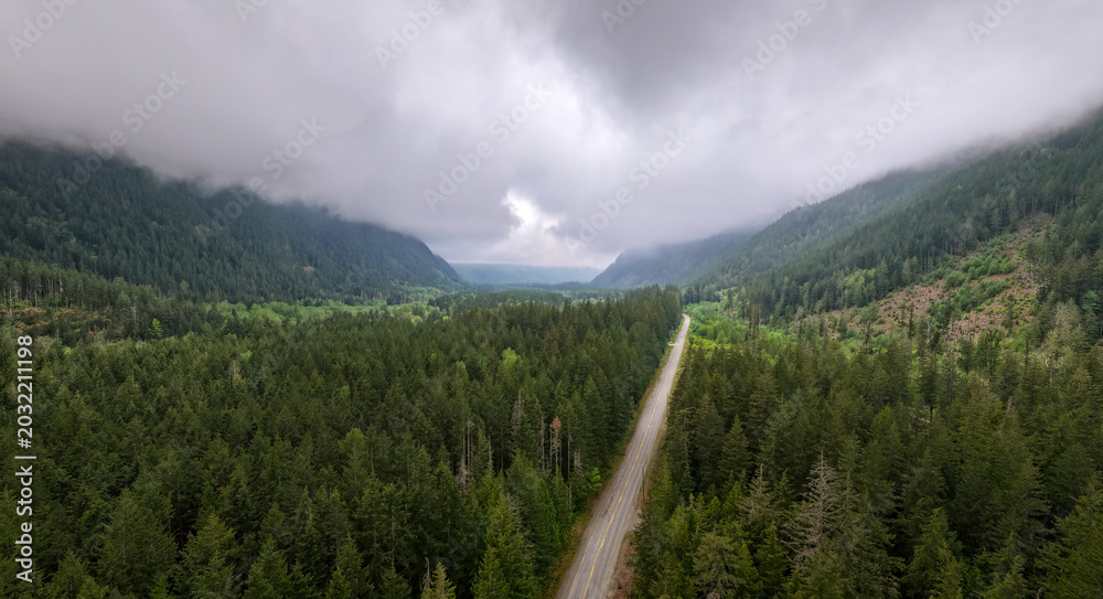 Obraz premium Foggy Forest Valley Road Through Lush Evergreen Trees in Fraser Valley, British Columbia, Canada