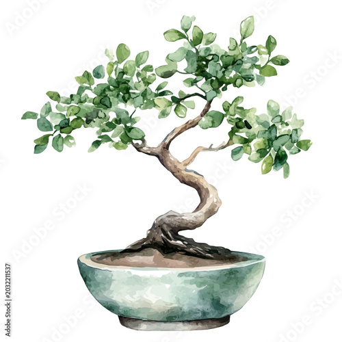 Slika na platnu Jade Bonsai, watercolor vector portraying a joyful pose with colorful highlights, isolated on a white background