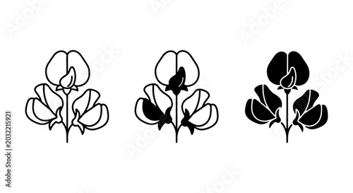 Foto Sweet Pea Flower Icons, Botanical Vector Art, Delicate Floral Line Drawings, Sim